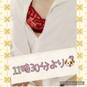 ヒメ日記 2025/04/11 09:07 投稿 高村-たかむら- ミセスまーと