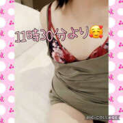 ヒメ日記 2025/04/17 09:10 投稿 高村-たかむら- ミセスまーと