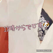 ヒメ日記 2025/04/22 08:29 投稿 高村-たかむら- ミセスまーと