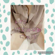 ヒメ日記 2025/04/28 03:40 投稿 高村-たかむら- ミセスまーと