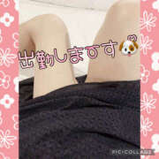 ヒメ日記 2025/05/01 12:07 投稿 高村-たかむら- ミセスまーと