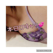 ヒメ日記 2025/05/02 09:06 投稿 高村-たかむら- ミセスまーと