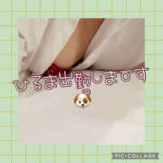 ヒメ日記 2025/05/03 09:01 投稿 高村-たかむら- ミセスまーと