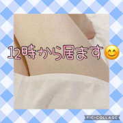 ヒメ日記 2025/05/03 10:09 投稿 高村-たかむら- ミセスまーと