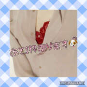 ヒメ日記 2025/05/08 08:51 投稿 高村-たかむら- ミセスまーと