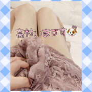 ヒメ日記 2025/06/05 10:27 投稿 高村-たかむら- ミセスまーと