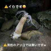 ヒメ日記 2025/06/23 21:51 投稿 高村-たかむら- ミセスまーと