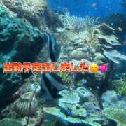 ヒメ日記 2025/06/27 09:06 投稿 高村-たかむら- ミセスまーと