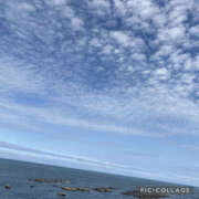 ヒメ日記 2025/07/04 06:52 投稿 高村-たかむら- ミセスまーと