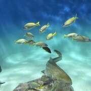 ヒメ日記 2025/07/12 09:25 投稿 高村-たかむら- ミセスまーと