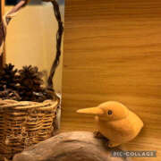 ヒメ日記 2025/08/16 15:34 投稿 高村-たかむら- ミセスまーと