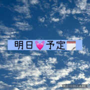 ヒメ日記 2025/09/29 15:13 投稿 高村-たかむら- ミセスまーと