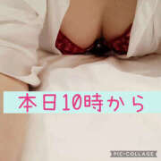 ヒメ日記 2026/01/27 09:06 投稿 高村-たかむら- ミセスまーと