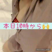 ヒメ日記 2026/01/30 09:02 投稿 高村-たかむら- ミセスまーと