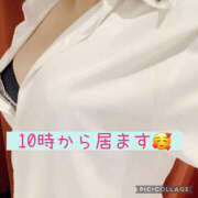 ヒメ日記 2026/02/05 07:39 投稿 高村-たかむら- ミセスまーと