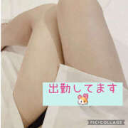 ヒメ日記 2026/02/05 09:37 投稿 高村-たかむら- ミセスまーと