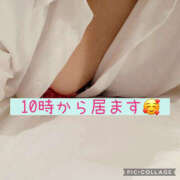 ヒメ日記 2026/02/13 09:01 投稿 高村-たかむら- ミセスまーと