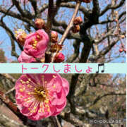 ヒメ日記 2026/02/17 07:54 投稿 高村-たかむら- ミセスまーと