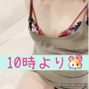 ヒメ日記 2026/02/19 09:00 投稿 高村-たかむら- ミセスまーと