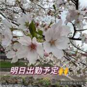 ヒメ日記 2026/04/07 13:04 投稿 高村-たかむら- ミセスまーと