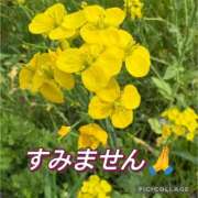 ヒメ日記 2026/04/16 22:56 投稿 高村-たかむら- ミセスまーと