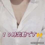 ヒメ日記 2026/04/28 07:43 投稿 高村-たかむら- ミセスまーと