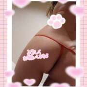 ヒメ日記 2025/02/26 14:00 投稿 君島　みさ ドクトル・ストレッチ