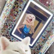 ヒメ日記 2025/03/04 14:00 投稿 君島　みさ ドクトル・ストレッチ