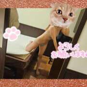 ヒメ日記 2025/03/12 16:05 投稿 君島　みさ ドクトル・ストレッチ