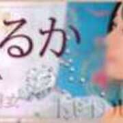 ヒメ日記 2024/10/10 16:01 投稿 工藤 はるか クラブダンディー