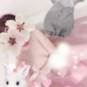 ヒメ日記 2025/04/15 16:51 投稿 工藤 はるか クラブダンディー