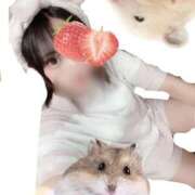 ヒメ日記 2025/07/29 14:11 投稿 工藤 はるか クラブダンディー