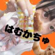 ヒメ日記 2025/08/30 20:56 投稿 工藤 はるか クラブダンディー