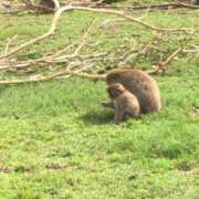 ヒメ日記 2024/09/24 01:24 投稿 ふみか 池袋おかあさん