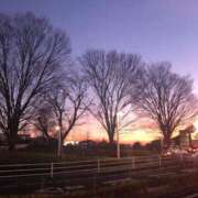 ヒメ日記 2025/01/14 21:51 投稿 ふみか 池袋おかあさん