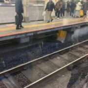 ヒメ日記 2025/01/19 23:34 投稿 ふみか 池袋おかあさん