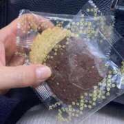 ヒメ日記 2025/02/28 21:14 投稿 ふみか 池袋おかあさん