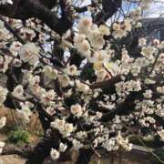 ヒメ日記 2025/03/02 10:44 投稿 ふみか 池袋おかあさん