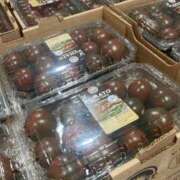 ヒメ日記 2025/03/07 13:34 投稿 ふみか 池袋おかあさん