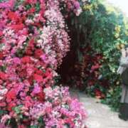 ヒメ日記 2025/03/11 15:24 投稿 ふみか 池袋おかあさん