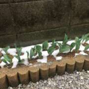 ヒメ日記 2025/03/19 14:04 投稿 ふみか 池袋おかあさん