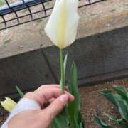 ヒメ日記 2025/03/28 20:24 投稿 ふみか 池袋おかあさん