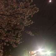 ヒメ日記 2025/04/05 21:34 投稿 ふみか 池袋おかあさん