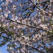 ヒメ日記 2025/04/12 13:34 投稿 ふみか 池袋おかあさん