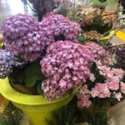 ヒメ日記 2025/04/22 11:27 投稿 ふみか 池袋おかあさん