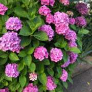 ヒメ日記 2025/06/15 23:57 投稿 ふみか 池袋おかあさん