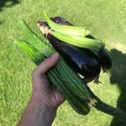 ヒメ日記 2025/07/31 13:44 投稿 ふみか 池袋おかあさん