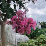 ヒメ日記 2025/08/13 13:44 投稿 ふみか 池袋おかあさん