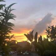 ヒメ日記 2025/08/26 00:14 投稿 ふみか 池袋おかあさん