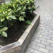 ヒメ日記 2025/09/19 14:07 投稿 ふみか 池袋おかあさん